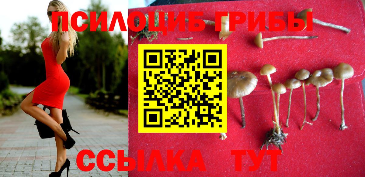 Галлюциногенные грибы GOLDEN TEACHER  Вход с VPN  Ачхой-Мартан 